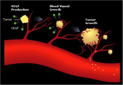 VEGF and angiogenesis