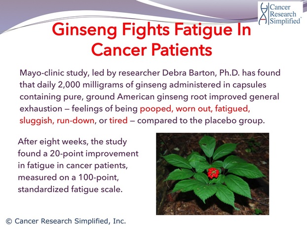 Ginseng fights fatigue in cancer patients - Cancer Research Simplified