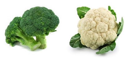 Sulforaphane - broccoli and cauliflower and cancer - Cancer Education and Research Institute (CERI)  