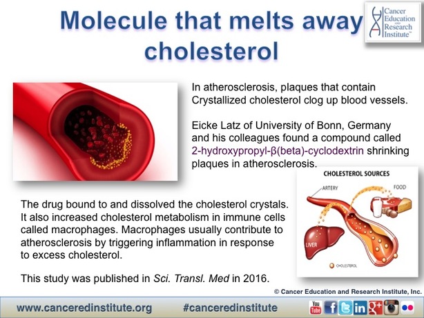 Science News: Molecule that melts away #cholesterol - Cancer Education and Research Institute (CERI) 