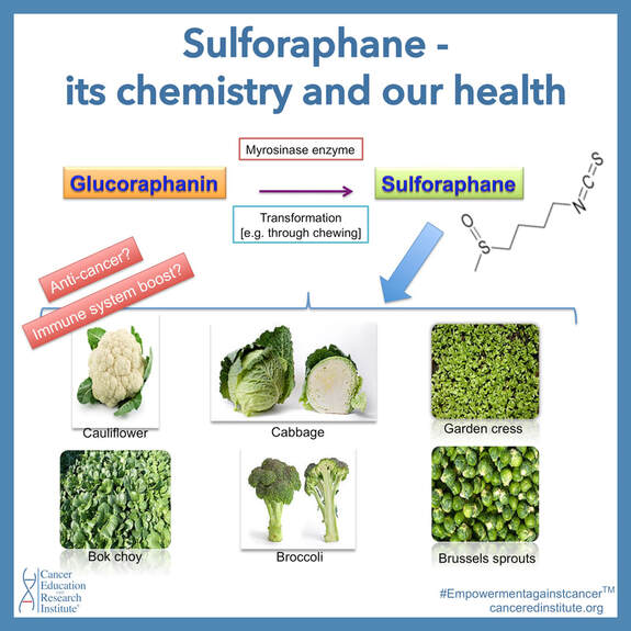 Sulforaphane -broccoli and cauliflower and cancer - Cancer Education and Research Institute (CERI)  