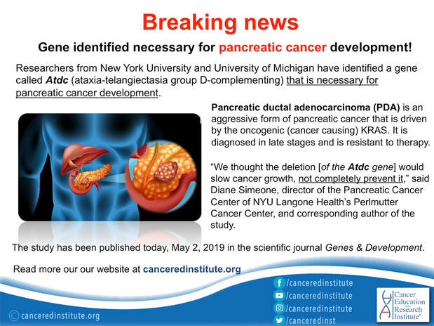 BREAKING NEWS-Gene identified necessary for pancreatic cancer development - Cancer Education and Research Institute (CERI)
