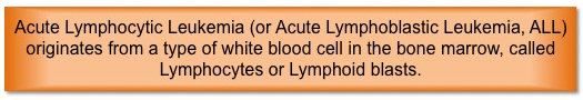 What is Acute Lymphocytic Leukemia (ALL)?  - Cancer Research Simplified