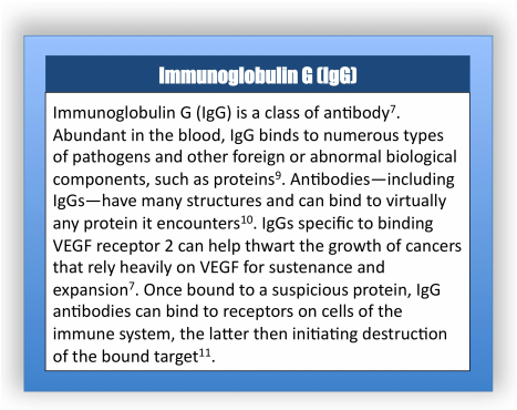 What is Immunoglobulin G (IgG)