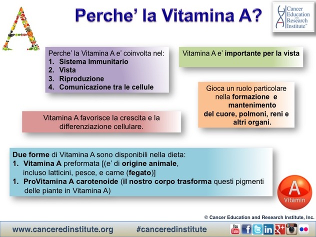 Perche’ la Vitamina A? Cancer Education and Research Institute (CERI) 