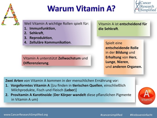 Alles was Sie über Vitamin A wissen müssen