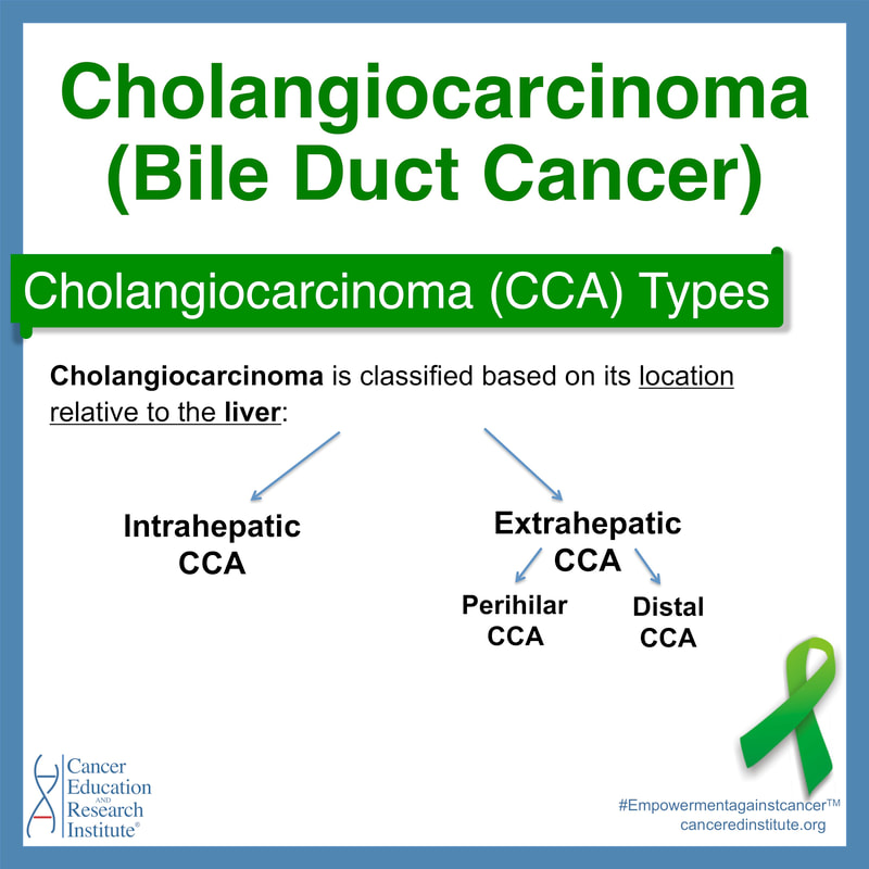 Cholangiocarcinoma (bile duct cancer) types | Cancer Education and Research Institute (CERI)