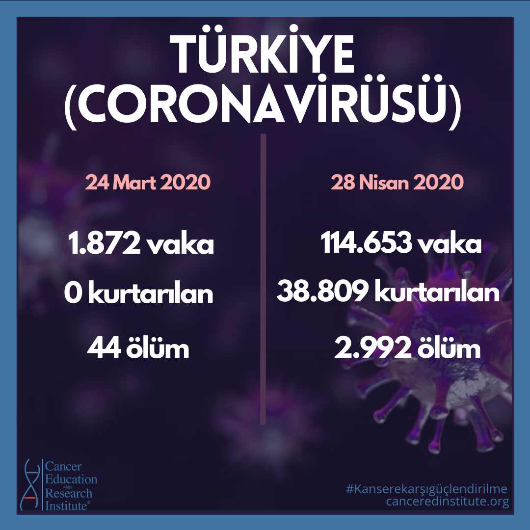 Turkiye Coronavirüsü vaka sayilari karsilastirilmasi | Cancer Education and Research Institute (CERI)