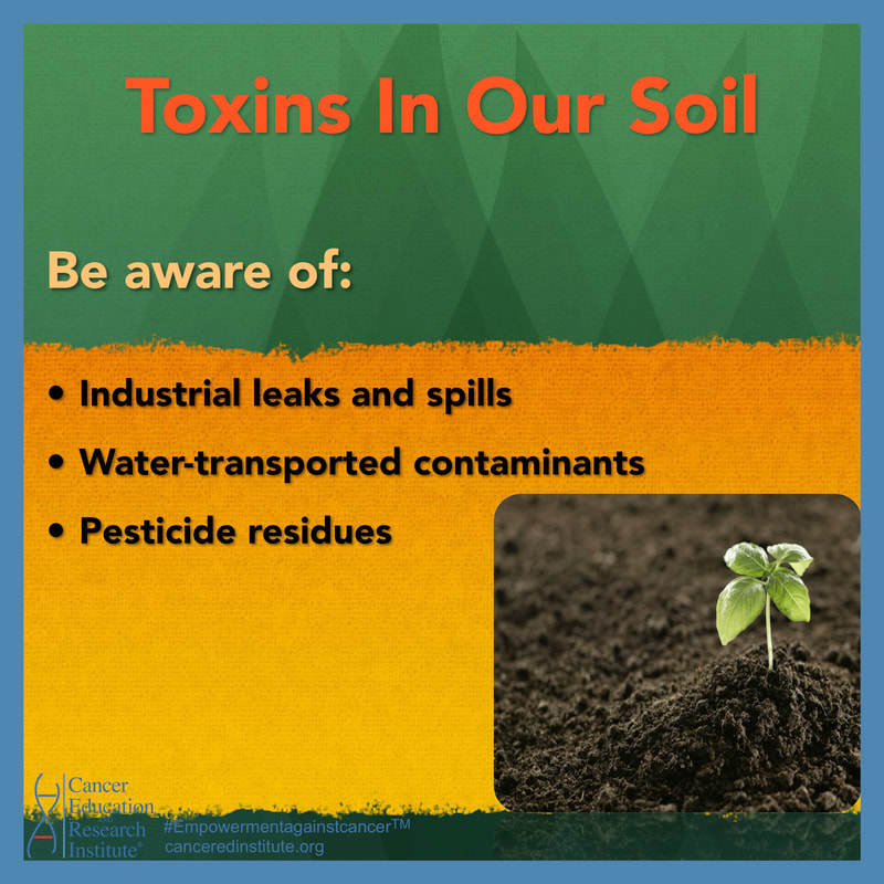 Toxins in our environment - Cancer Education and Research Institute (CERI)