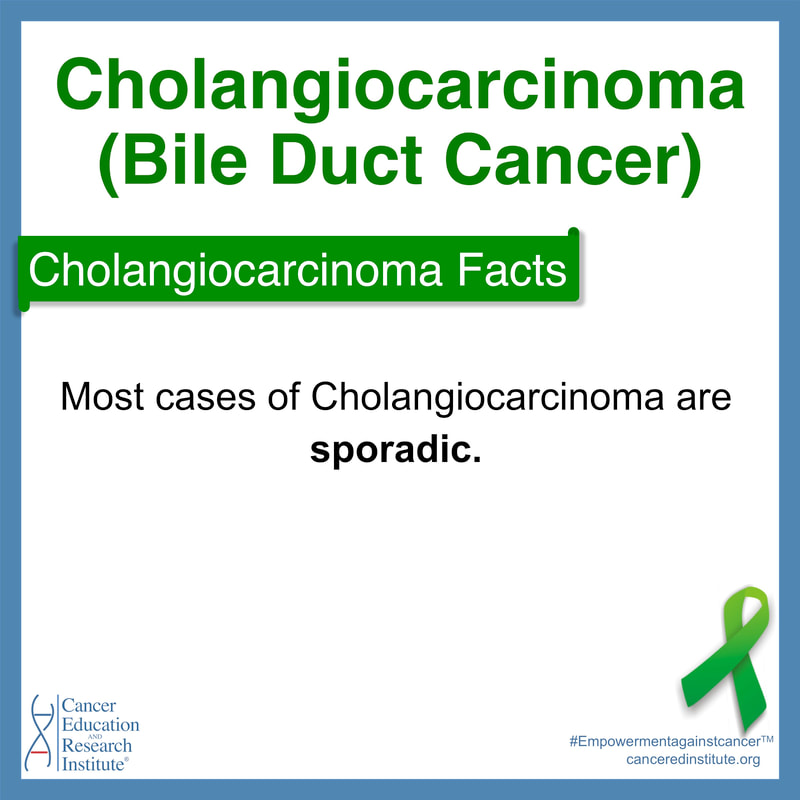 Cholangiocarcinoma (bile duct cancer) facts | Cancer Education and Research Institute (CERI)