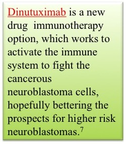 Dinutuximab - immunotherapy for neuroblastoma - Cancer Education and Research Institute (CERI) 