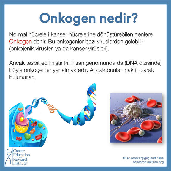 Onkogen nedir? | Genetik ve Kanser | Cancer Education and Research Institute (CERI) 