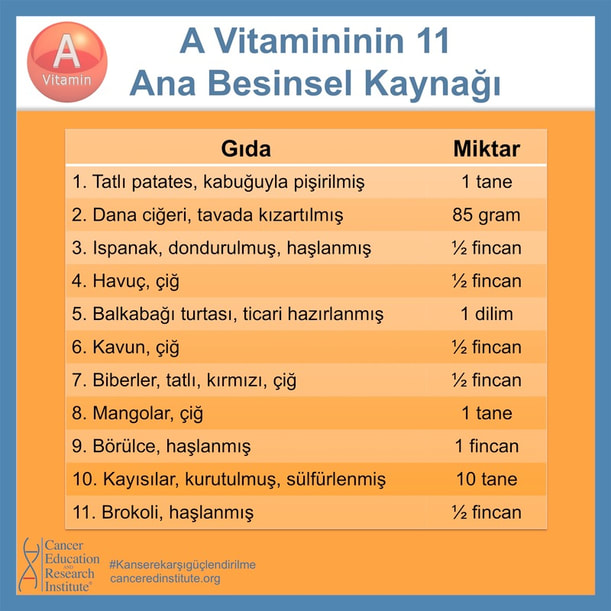 A vitaminin ana kaynaklari | Cancer Education and Research Institute 