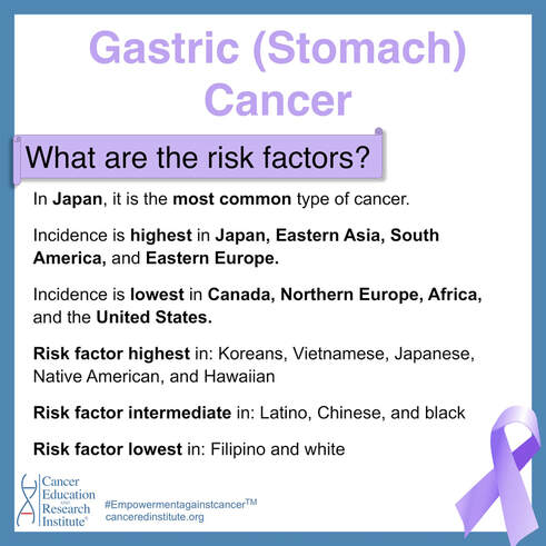What are the risk factors for stomach cancer? | Cancer Education and Research Institute (CERI)