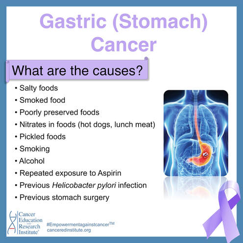 What are the causes of stomach cancer? | Cancer Education and Research Institute (CERI)