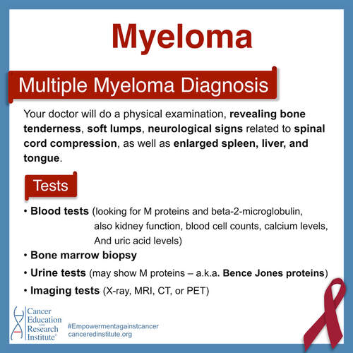 Multiple myeloma diagnosis | Cancer Education and Research Institute 