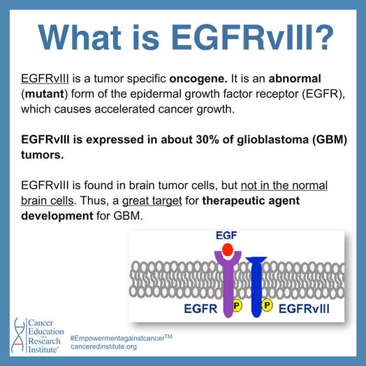 What is EGFRvIII? | Cancer and Genes | Cancer Education and Research Institute (CERI) 