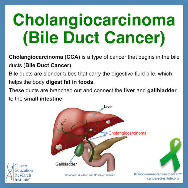 What is Cholangiocarcinoma (bile duct cancer)? | Cancer Education and Research Institute (CERI)