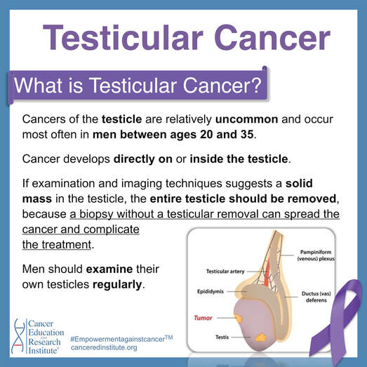 What is testicular cancer?  Testicular cancer awareness month 