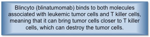 Blincyto (blinatumomab) can kill tumor cells in ALL patients