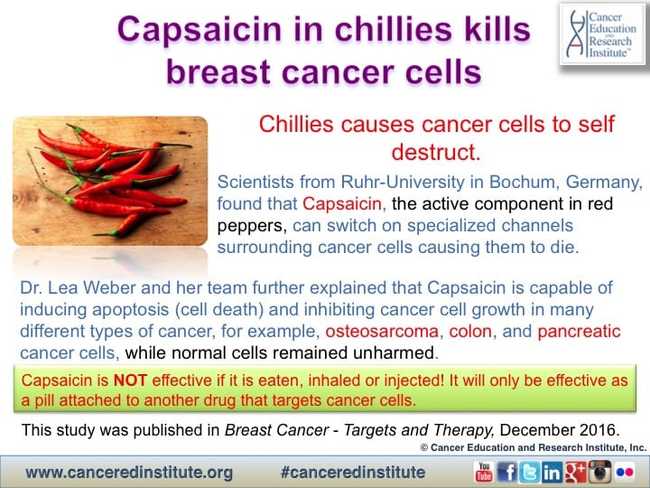 Capsaicin in chillies kills breast cancer cells - Cancer Education and Research Institute (CERI) 