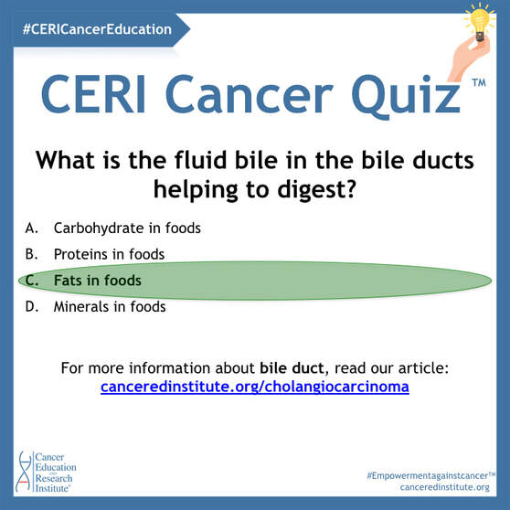 Cholangiocarcinoma (bile duct cancer) | Cancer Education and Research Institute (CERI)