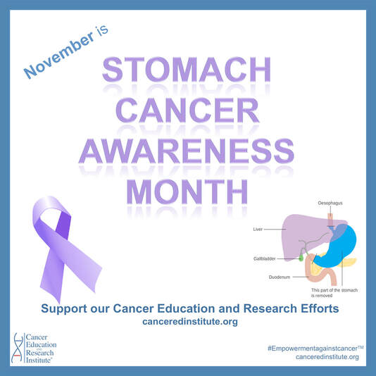 November is Stomach Cancer Awareness Month | Cancer Education and Research Institute (CERI) 