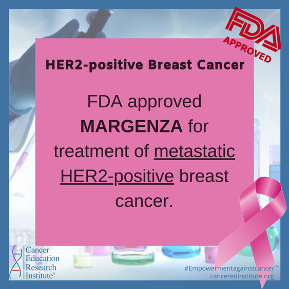 HER2-positive breast cancer | Cancer Education and Research Institute (CERI)
