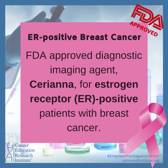 Estrogen receptor ER-positive breast cancer treatment | Cancer Education and Research Institute (CERI)
