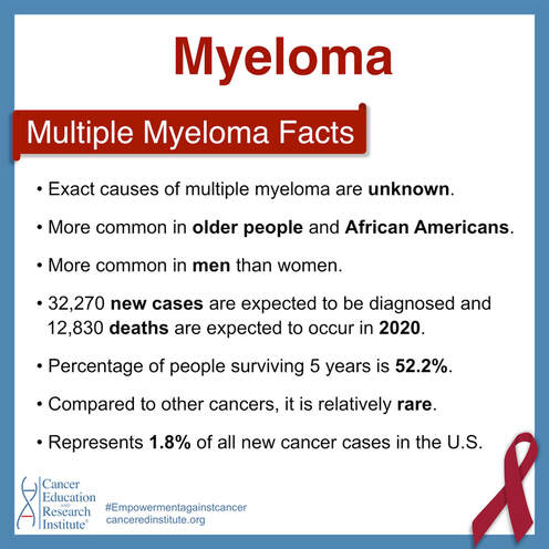 Multiple myeloma facts and statistics | Cancer Education and Research Institute 
