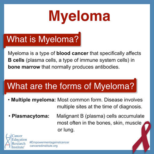 What is myeloma?  | Cancer Education and Research Institute 